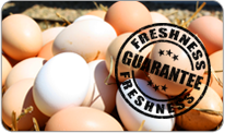 Freshness Guarantee